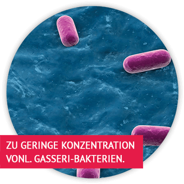 Zu geringe Konzentration von L. Gasseri-Bakterien